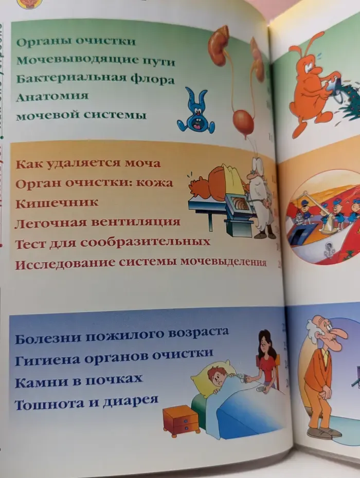 Как устроено тело человека. Выпуск 24
