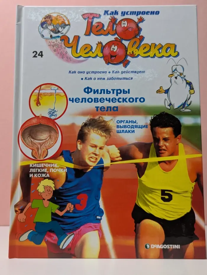 Как устроено тело человека. Выпуск 24
