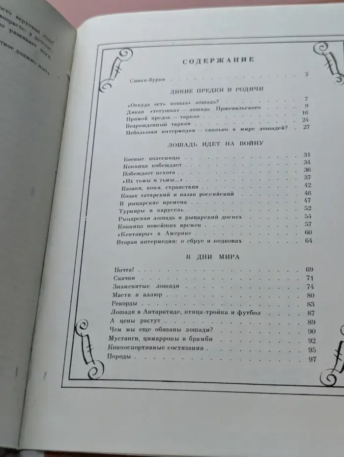 На коне - через века