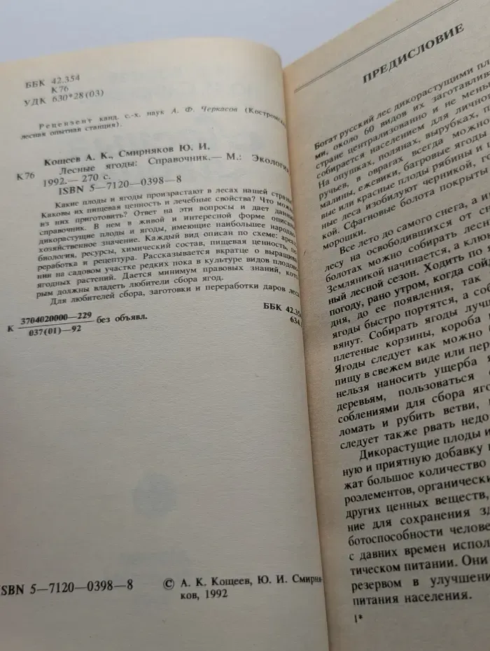 Лесные ягоды. Справочник