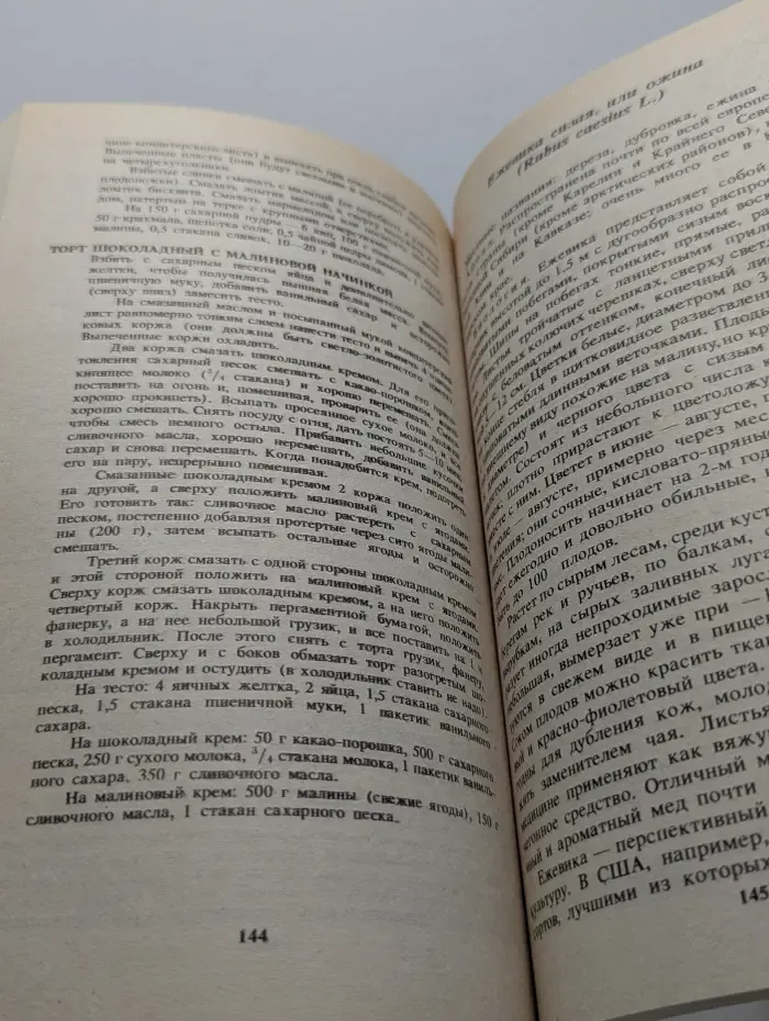 Лесные ягоды. Справочник