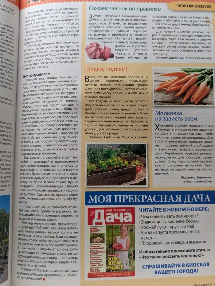 Дарья. Выпуск № 18/2019