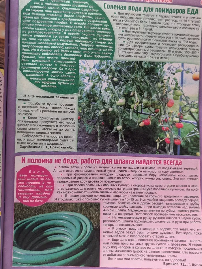 1000 советов. Выпуск № 14/2020