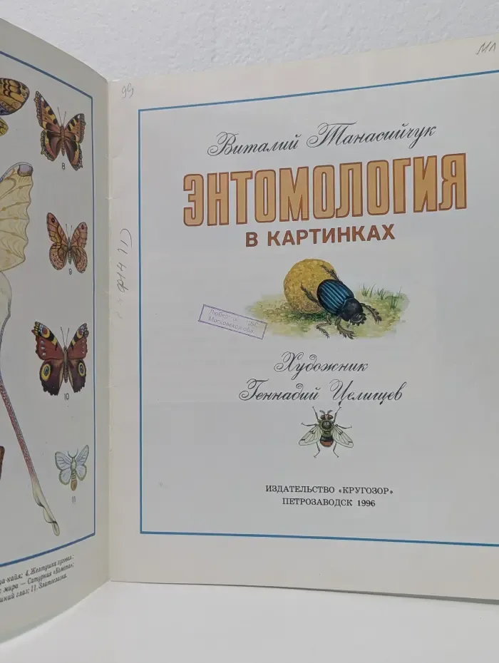 Энтомология в картинках