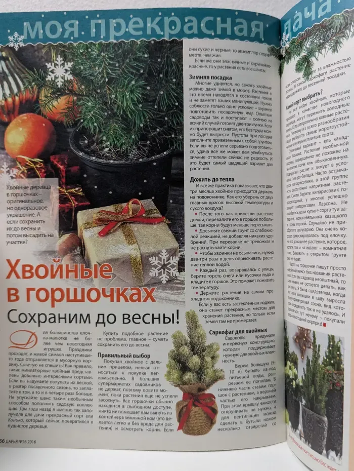 Дарья. Выпуск № 26/2016