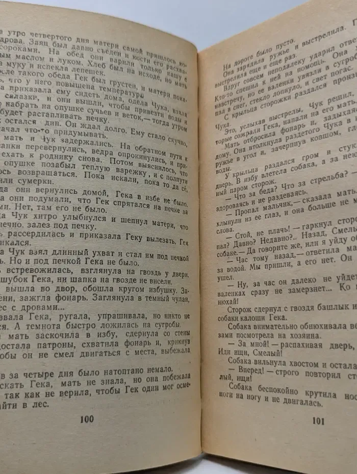 Школьная библиотека. Чук и Гек