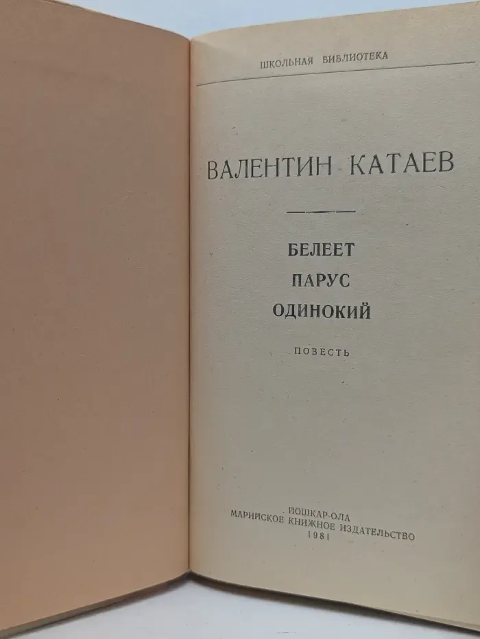 Школьная библиотека. Белеет парус одинокий