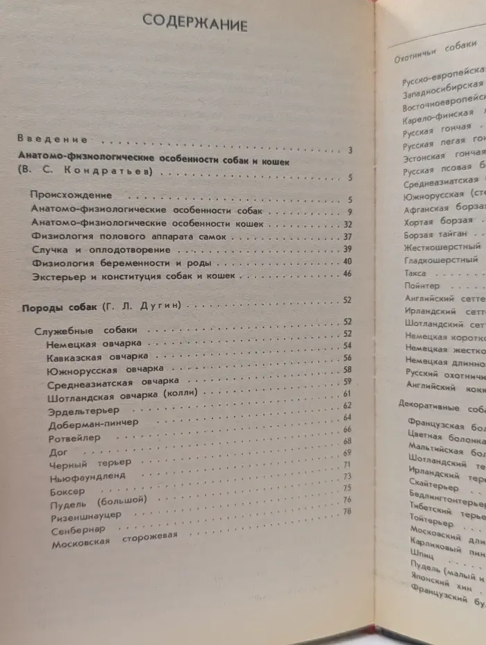 Ваши домашние четвероногие друзья