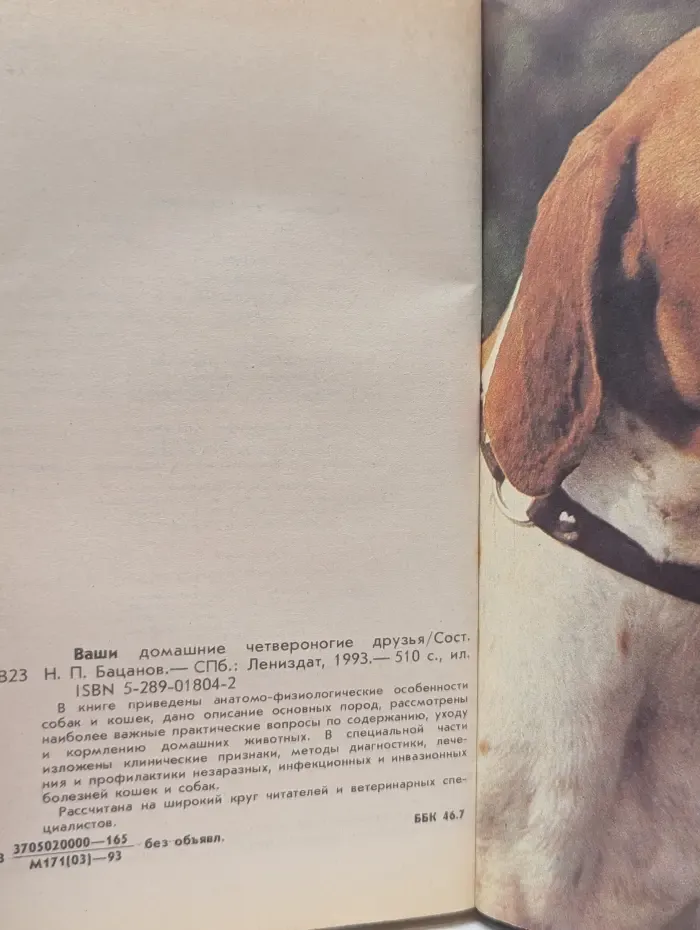 Ваши домашние четвероногие друзья