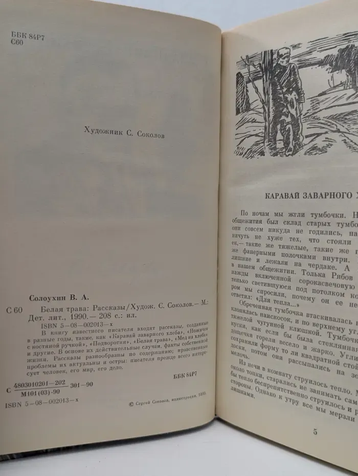 Школьная библиотека. Белая трава
