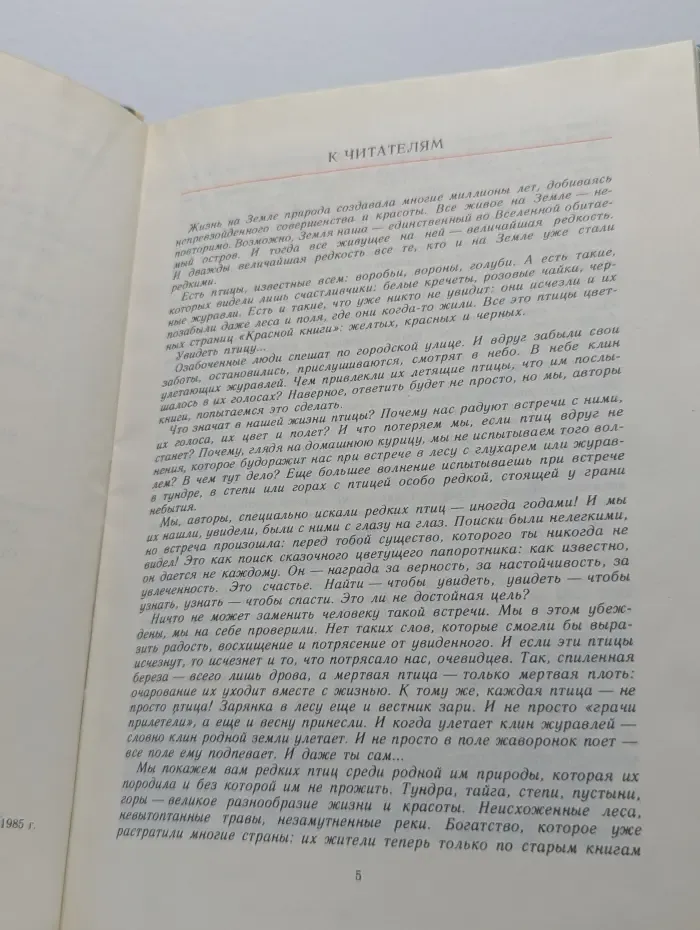 Розовые чайки и черные журавли