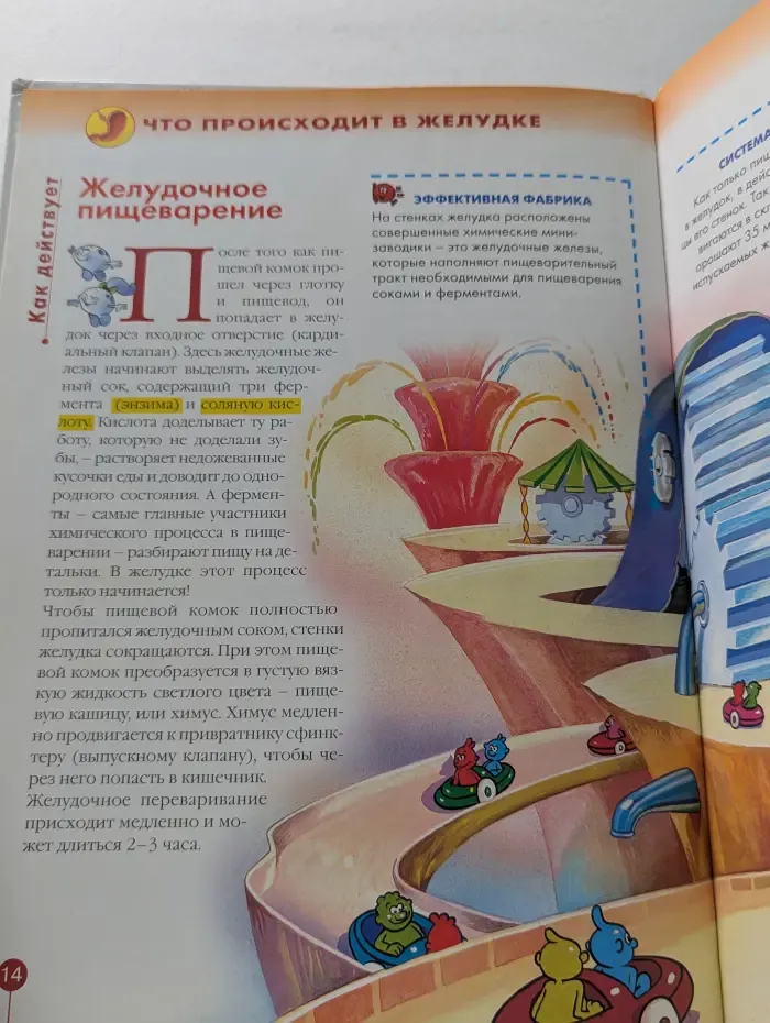 Как устроено тело человека. Выпуск 13. Пищеварение