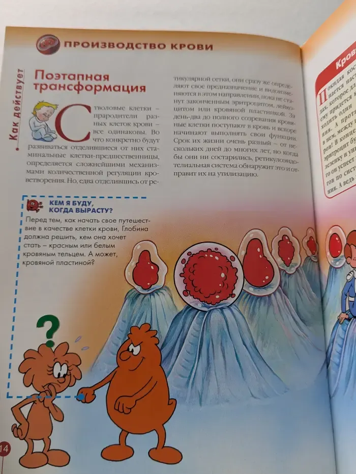 Как устроено тело человека. Выпуск № 29. Костный мозг