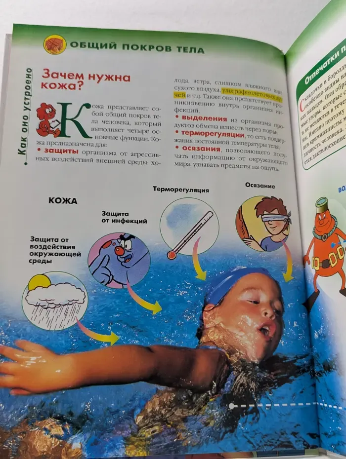 Как устроено тело человека. Выпуск № 9/2007. Кожа