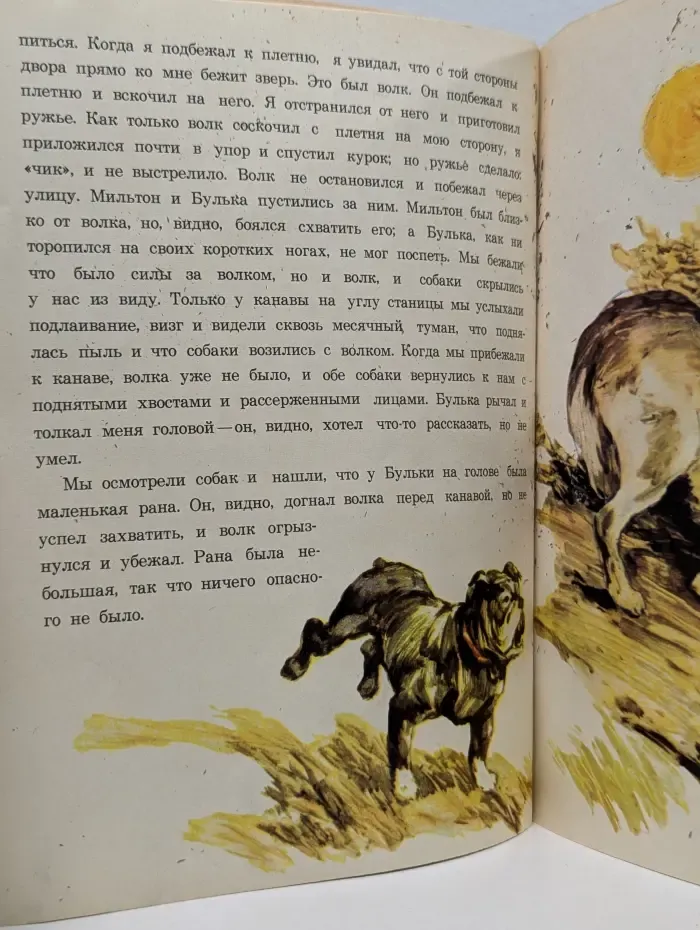 Булька
