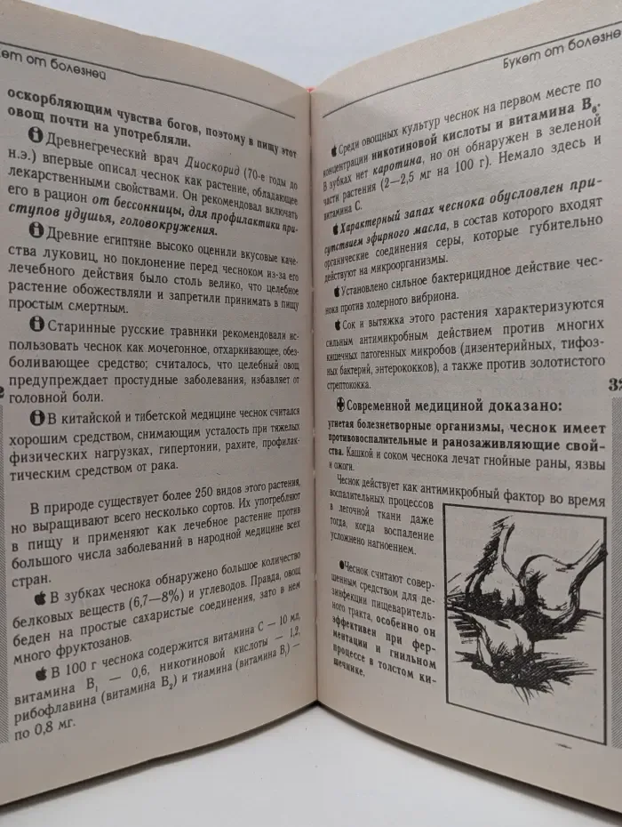Здравушка. Рецепты здоровья и долголетия. Выпуск № 1/1996