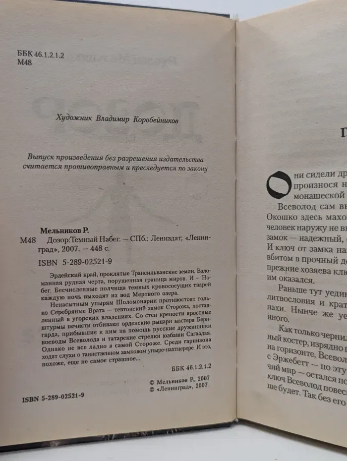 Дозор. Темный набег