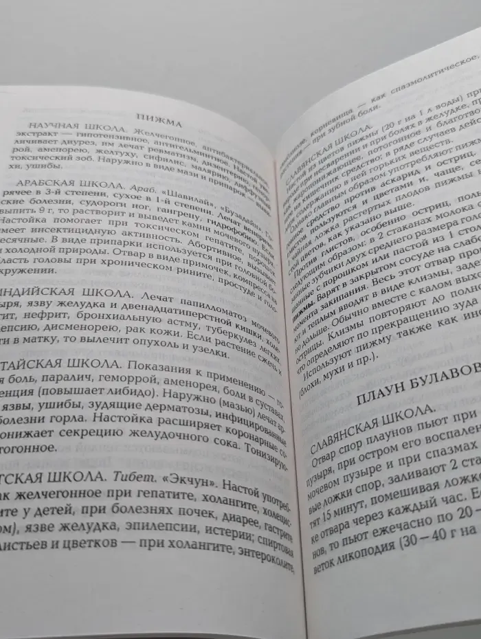 Путь к исцелению. Зеленая аптека