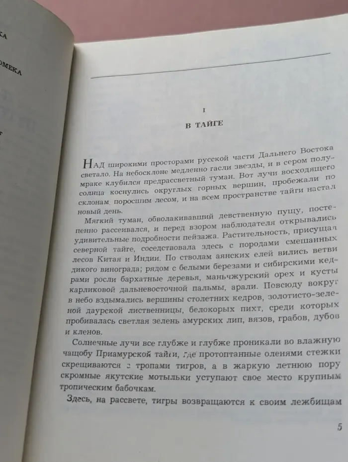 Таинственное путешествие Томека