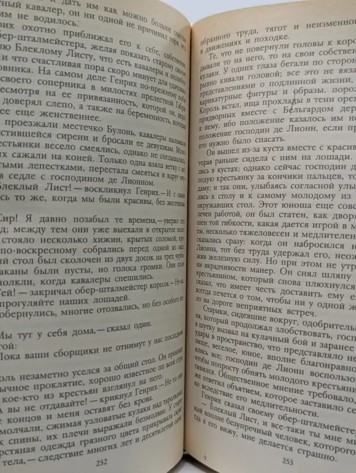Зрелые годы короля Генриха IV