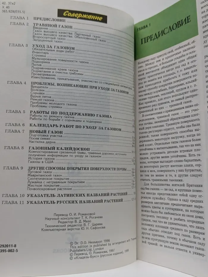 Все о газоне