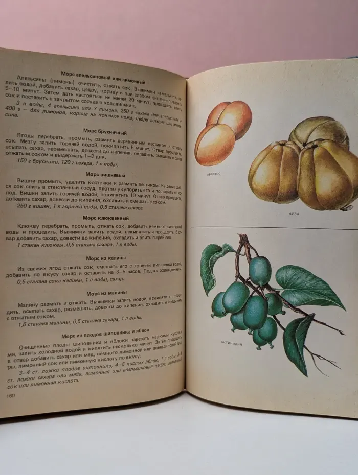 Плоды и ягоды на вашем столе