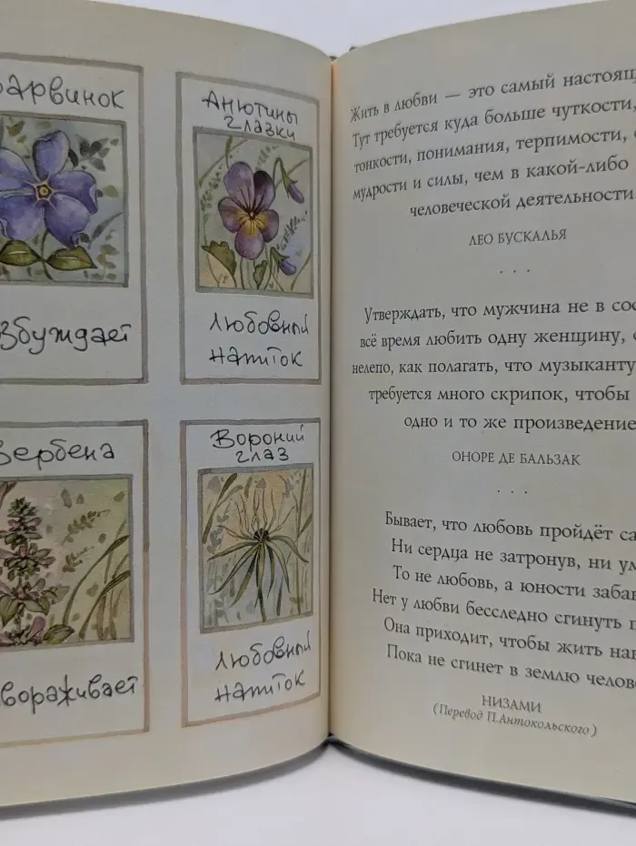 На добрую память. В годовщину свадьбы