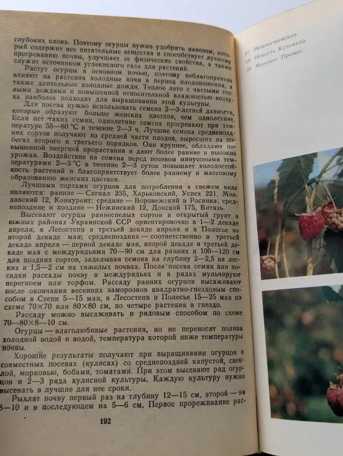 Советы по ведению приусадебного хозяйства