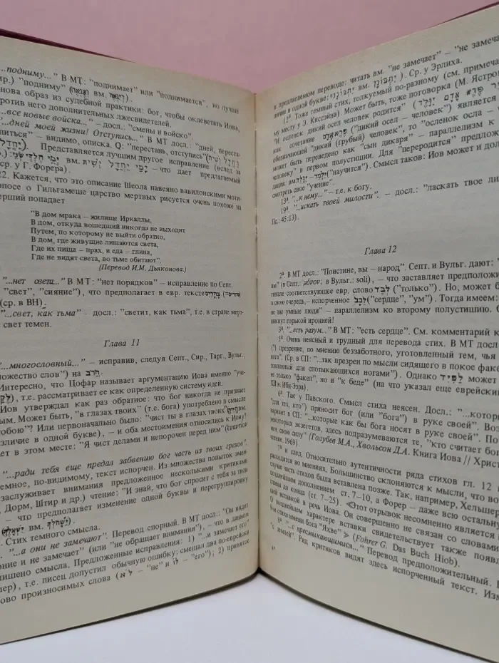 Книга Иова. Из истории библейского текста