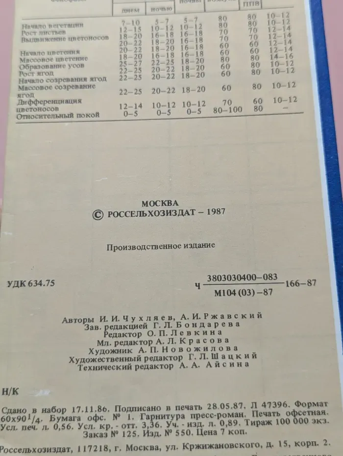 Вертикальная культура земляники