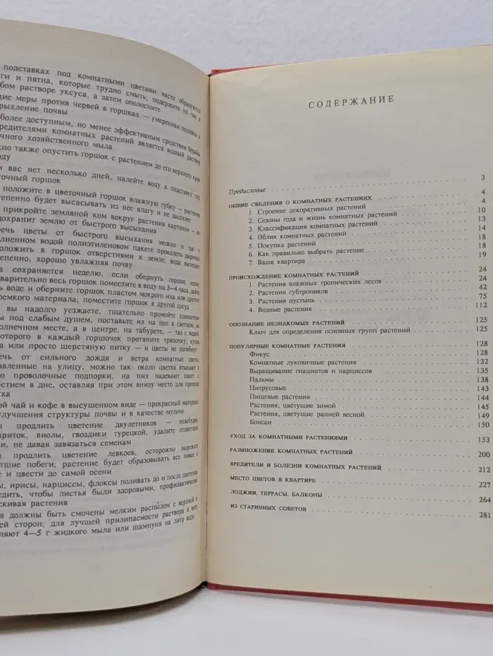 Русский дом. Цветы в доме