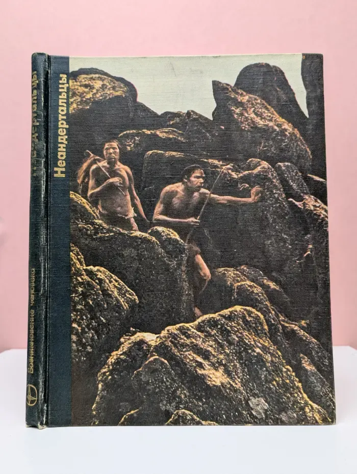 Возникновение человека. Неандертальцы
