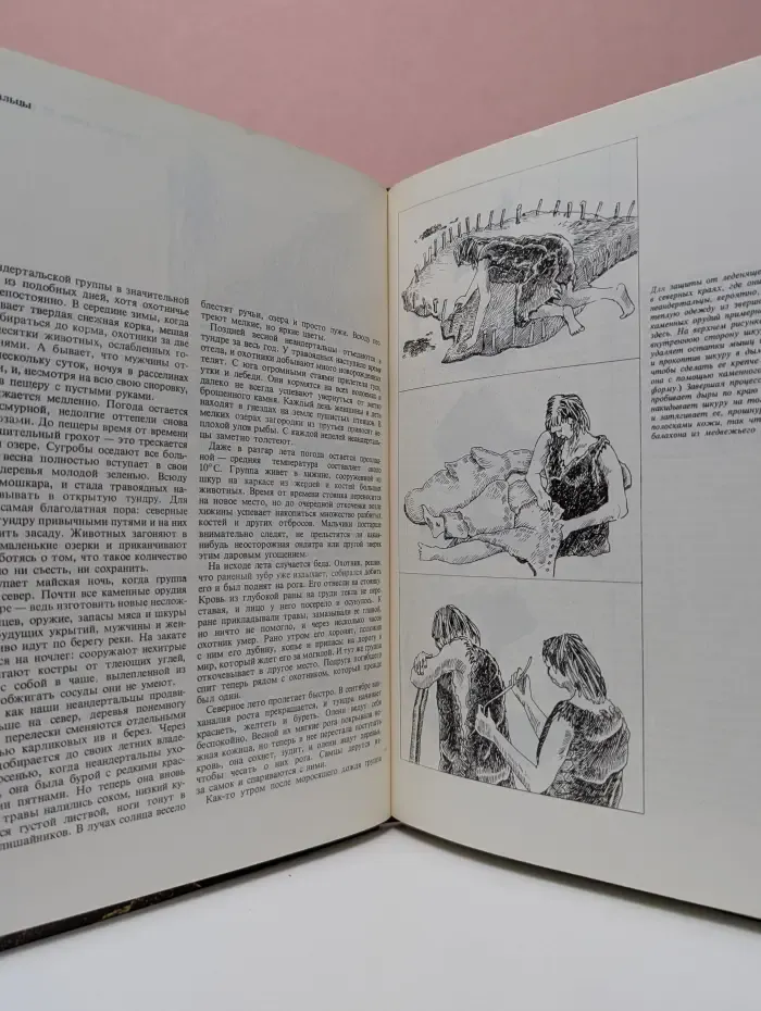 Возникновение человека. Неандертальцы