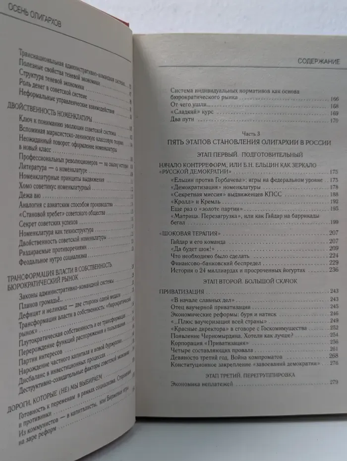 Осень олигархов. История прихватизации и будущее России