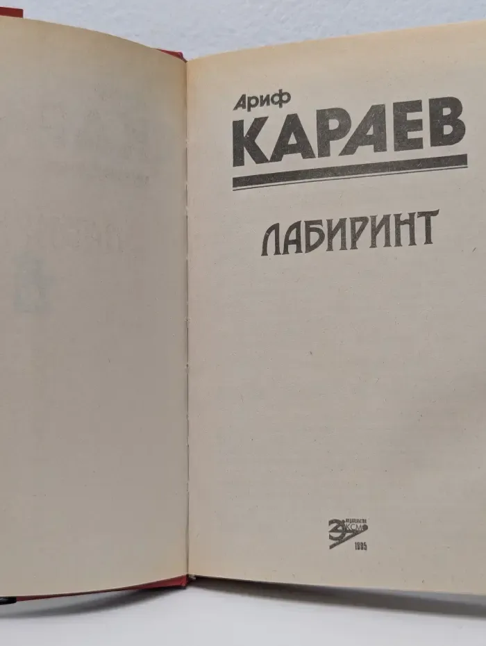 Черная кошка. Лабиринт