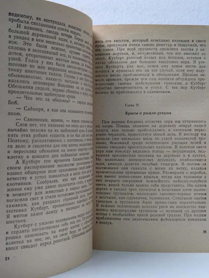 Три билета до Эдвенчер. Путь кенгуренка