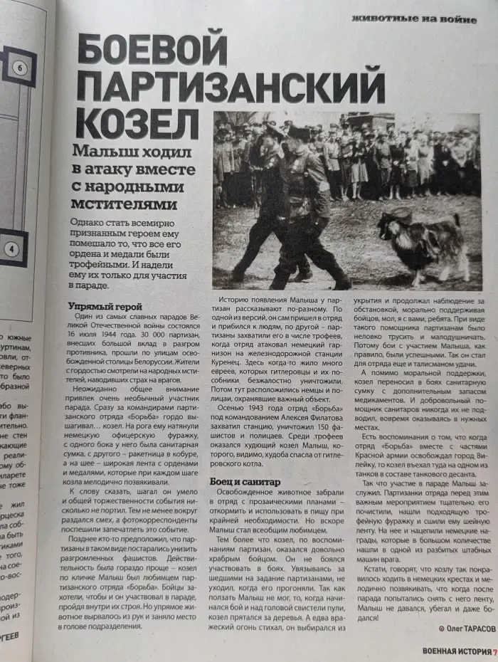 Военная история. Выпуск № 17/2021