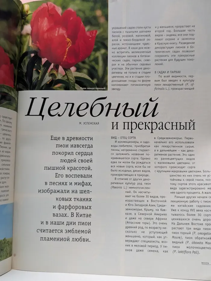 Флора. Выпуск № 5/1998