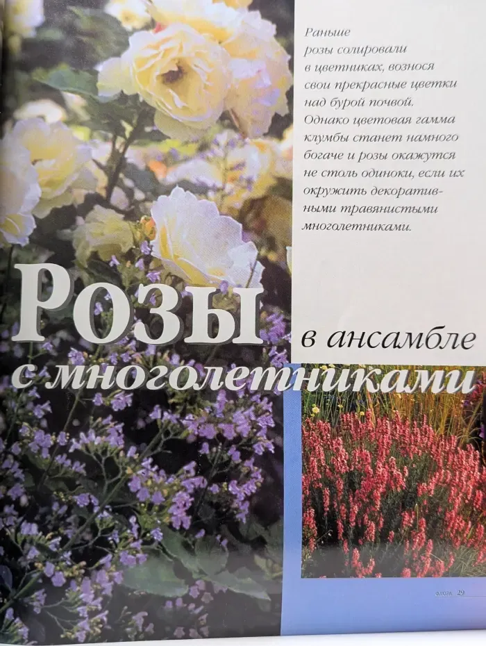 Флора. Выпуск № 2/1998