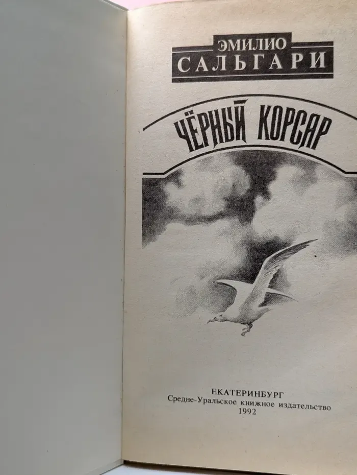 Детский боевик. Черный корсар