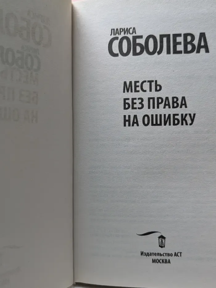 Детектив по новым правилам. Месть без права на ошибку