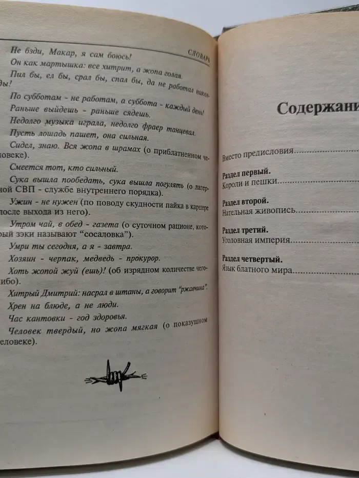 Преступники и преступления. Законы преступного мира. Обычаи, язык, татуировки. Энциклопедия