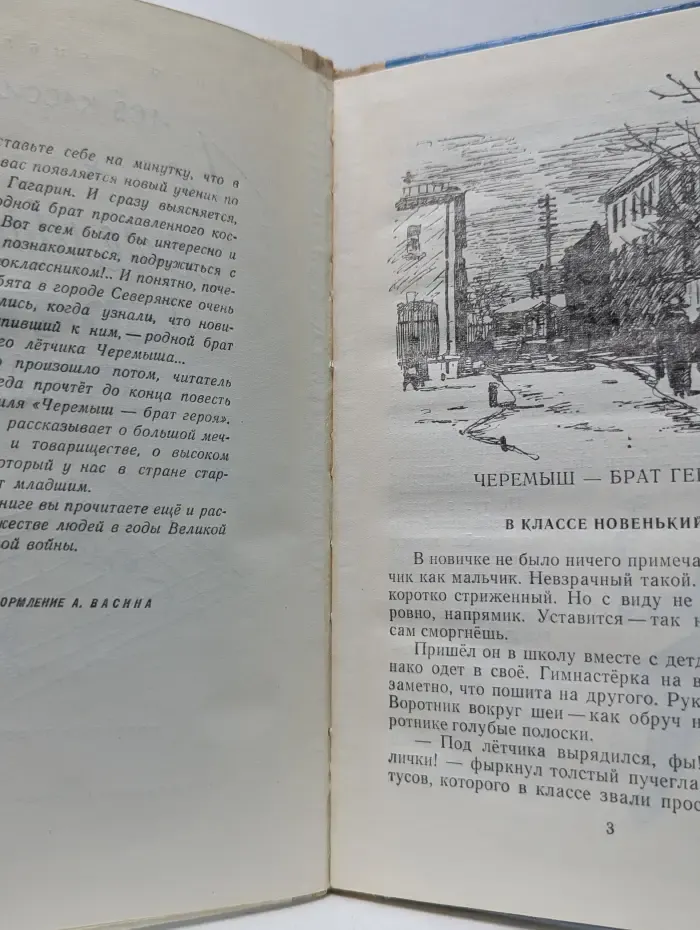 Школьная библиотека. Черемыш - брат героя