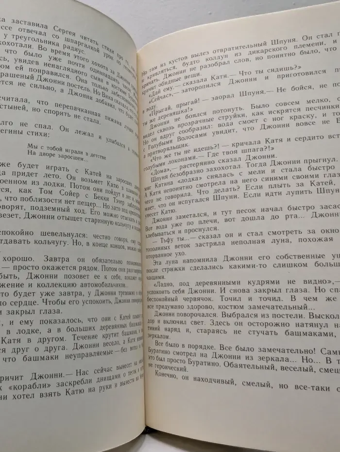 Мушкетер и фея и другие истории из жизни Джонни Воробьева
