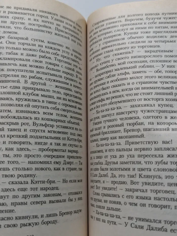 Забытые королевства. Проклятие Рубина