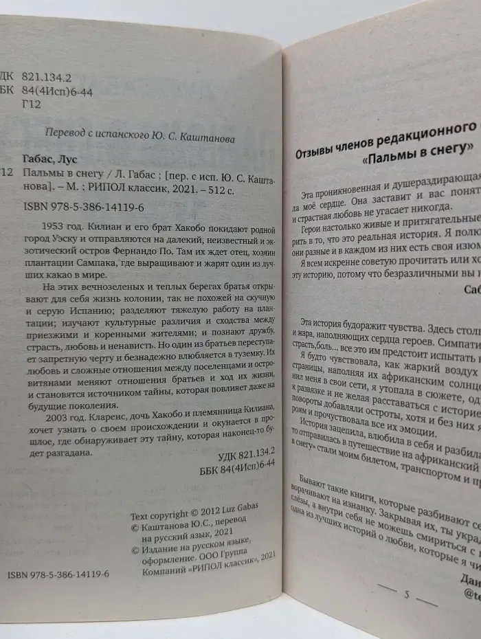 Пальмы в снегу