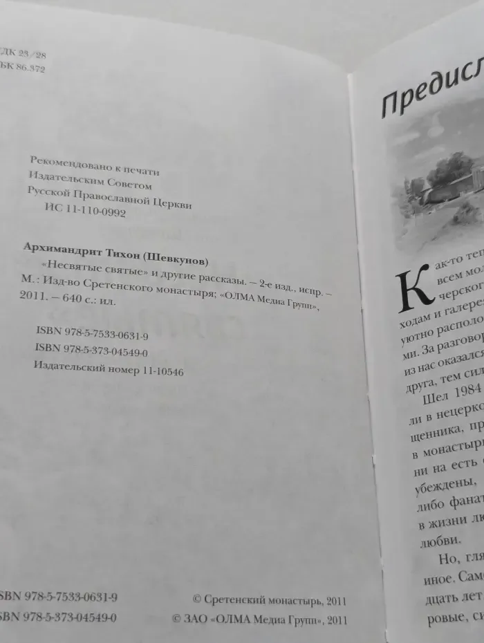 Несвятые святые и другие рассказы