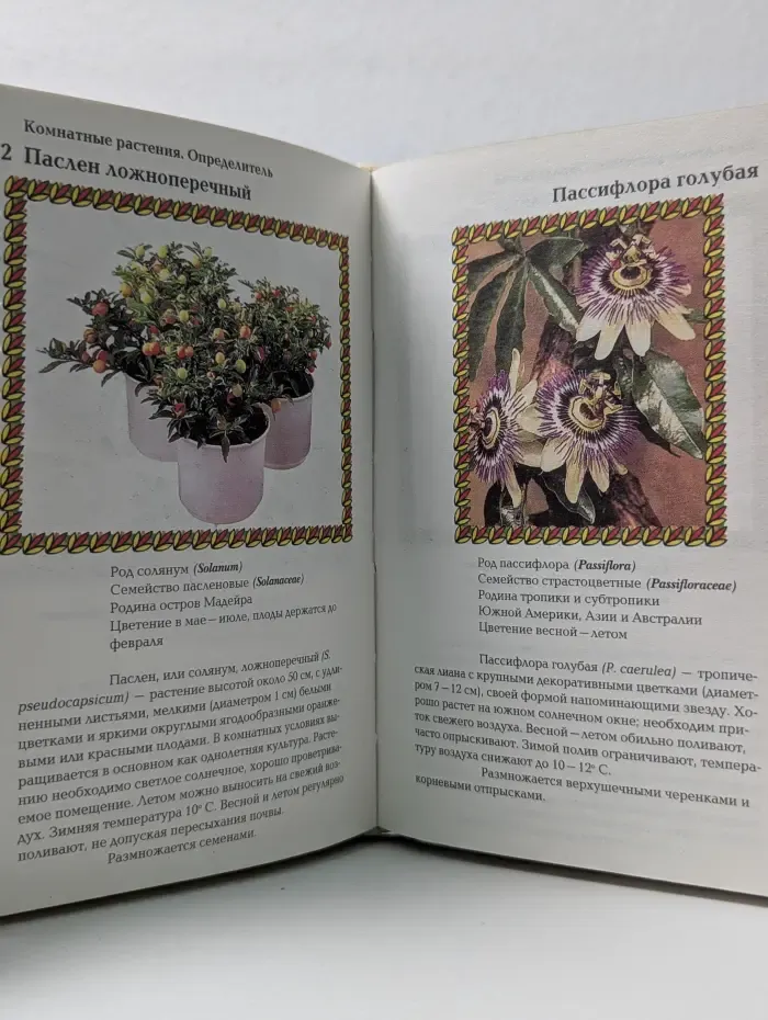 Комнатные растения. Определитель