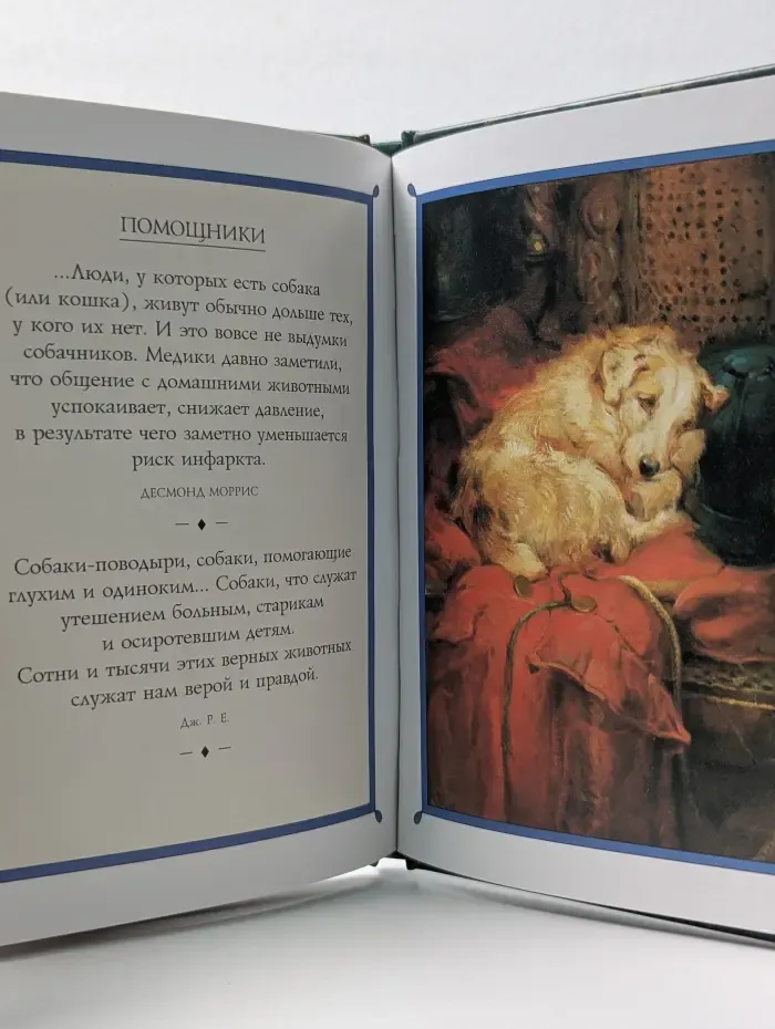 Высказывания. Собаки. Сборник симпатичных картинок и остроумных наблюдений