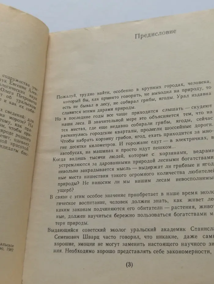 Лето в лукошке. Все о грибах и ягодах